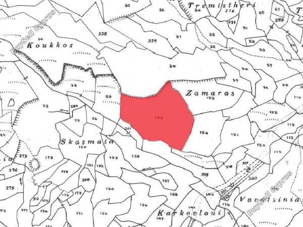 land for sale amargeti paphos 8629891 image 17207790