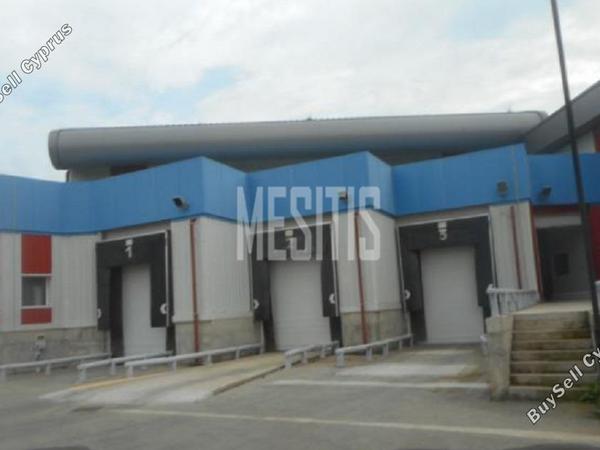studio warehouse for sale nisou nicosia 8260891 image 13934011