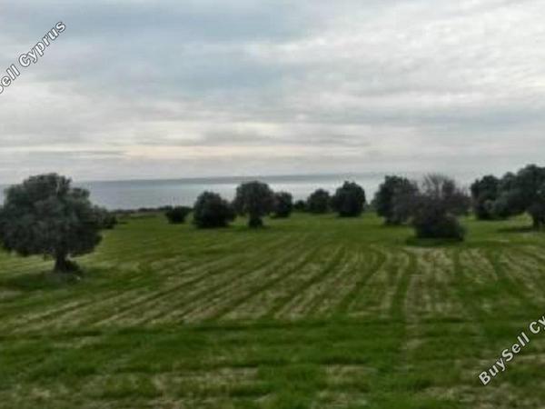 land for sale agios theodoros larnacas larnaca 830991 image 2346699