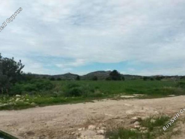 land for sale agios theodoros larnacas larnaca 830991 image 2346704