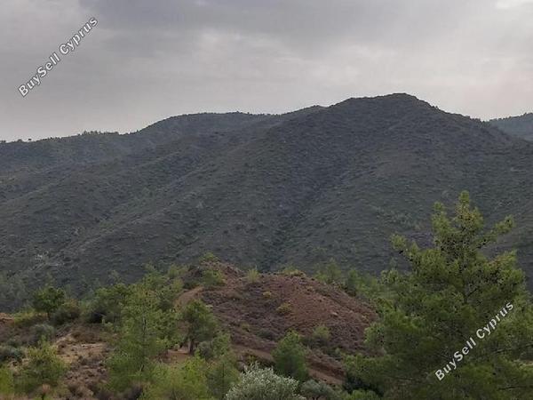 land for sale dierona limassol 1594991 image 15598346