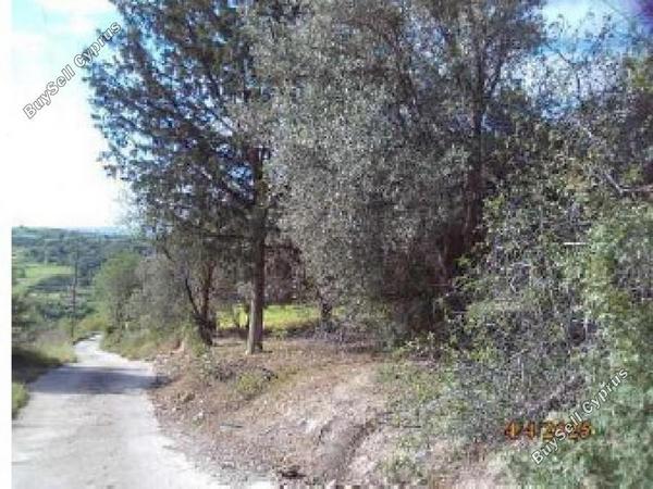 land for sale drynia paphos 8531991 image 16277468