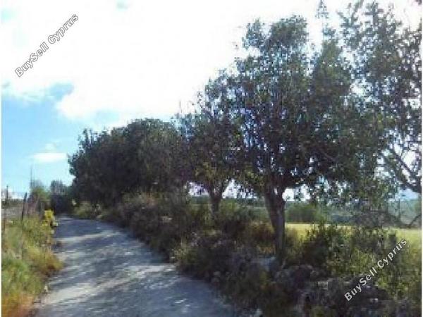 land for sale drynia paphos 8531991 image 16277470
