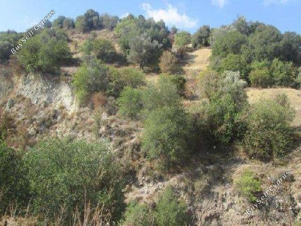 land for sale kallepeia paphos 8628991 image 15864695