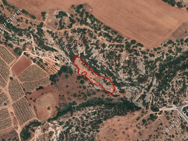 land for sale peyia paphos 944991 image 15178521