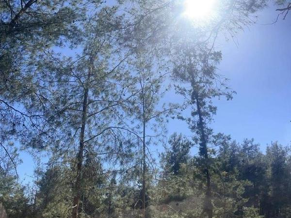 plot for sale saittas limassol 1682991 image 10057105