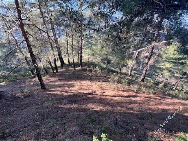land for sale farmakas nicosia 1768002 image 15597731