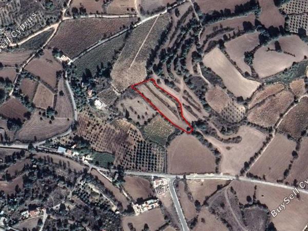 land for sale fyti paphos 828002 image 15177804