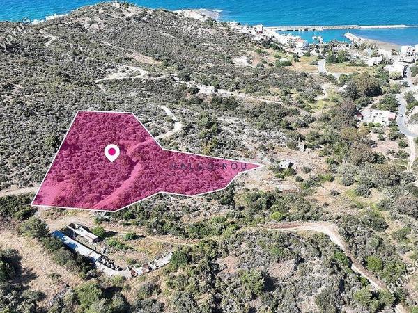 land for sale kato pyrgos nicosia 1650002 image 5663126