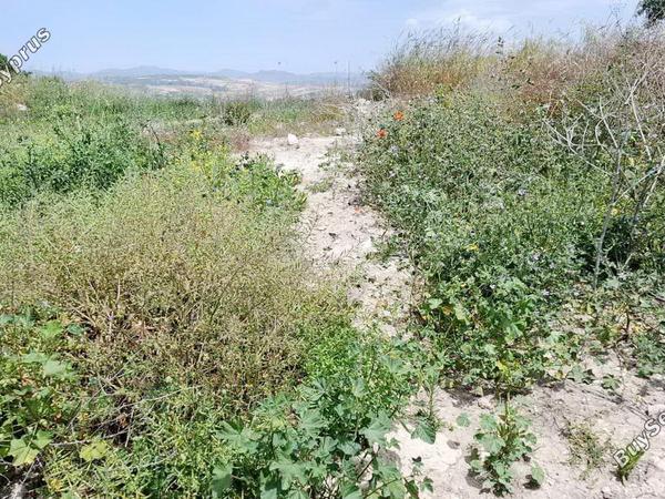 land for sale stroumbi paphos 1797002 image 5979506