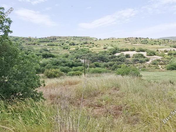 land for sale stroumbi paphos 1797002 image 5979510