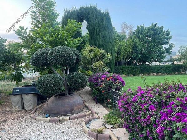 plot for sale zakaki limassol 1684002 image 10955262