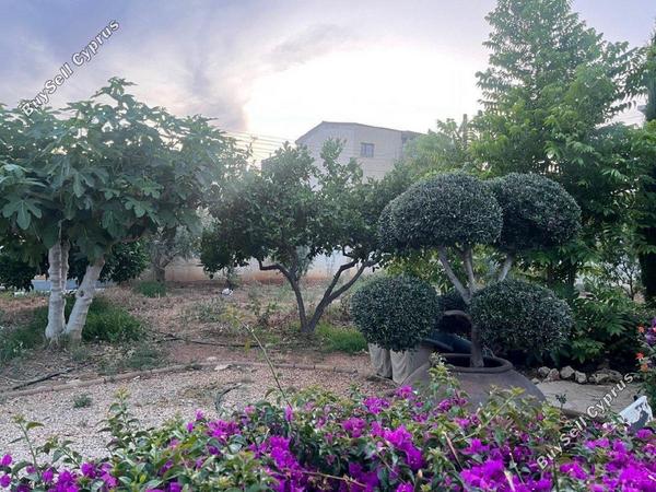 plot for sale zakaki limassol 1684002 image 10955263