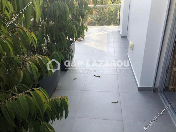 4 bedroom ground floor apartment for sale strovolos nicosia 7495102 image 15819092
