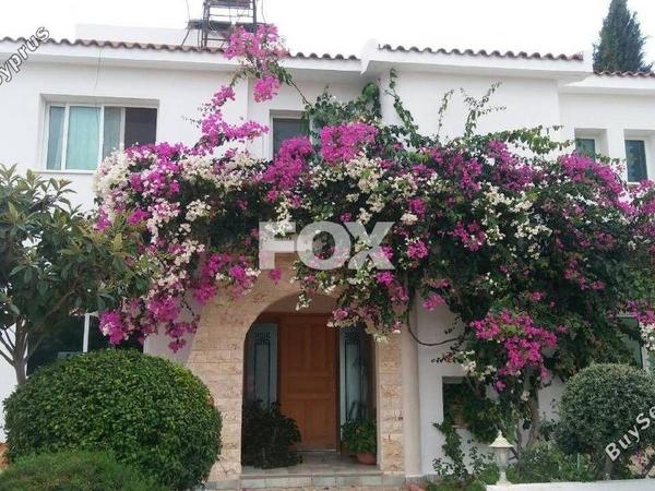 5 bedroom detached house for rent paphos municipality paphos 1733102 image 10044544