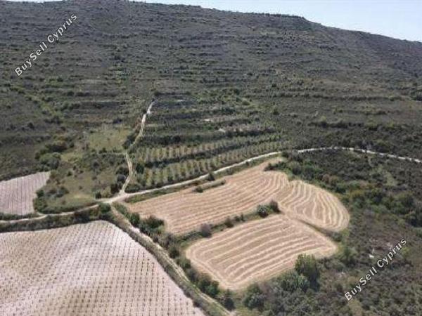 land for sale kathikas paphos 7806102 image 12838716