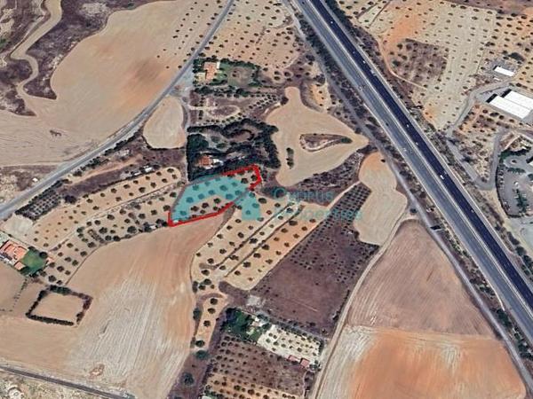 land for sale latsia nicosia 8180102 image 13569806