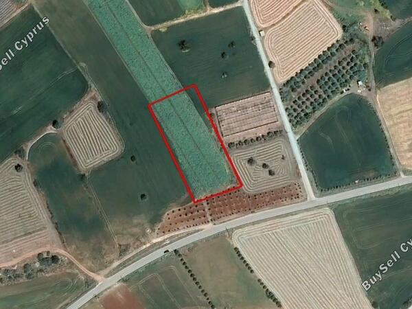 land for sale mazotos larnaca 831102 image 2346700