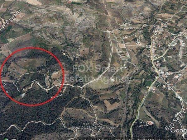 land for sale nikitari nicosia 1153102 image 5167261