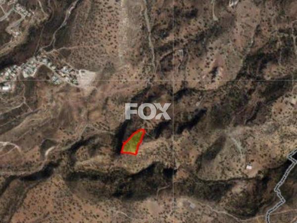 land for sale peyia paphos 1161102 image 10031783
