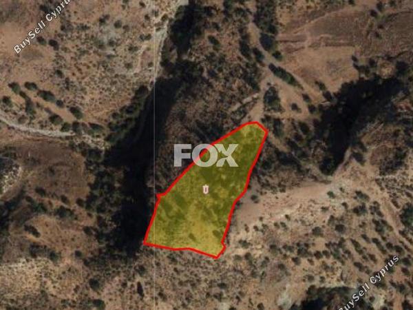 land for sale peyia paphos 1161102 image 10031784