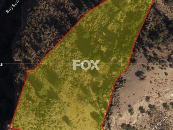 land for sale peyia paphos 1161102 image 10031785