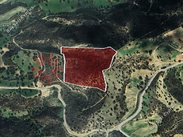 land for sale agios theodoros larnacas larnaca 7867202 image 15571207