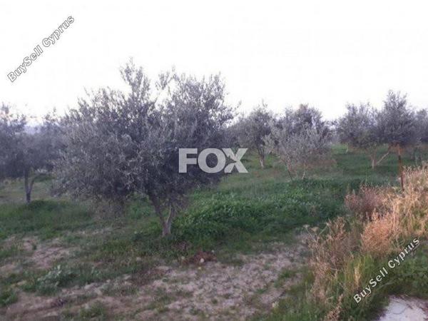 land for sale goudi paphos 1159202 image 5519300