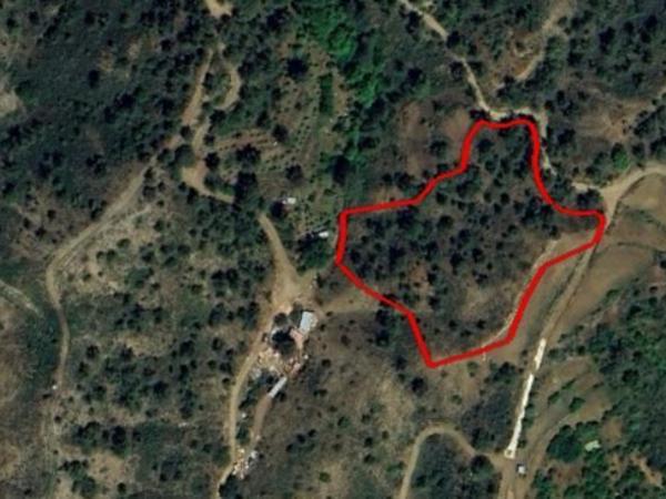 land for sale kato platres limassol 8399202 image 14835479