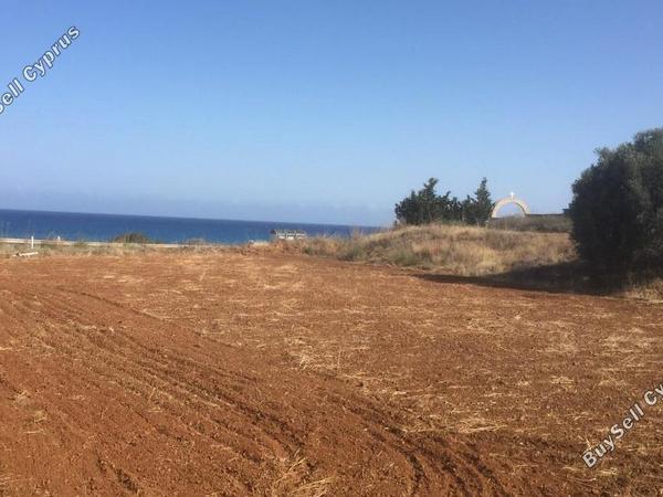 land for sale pomos paphos 828202 image 15178927