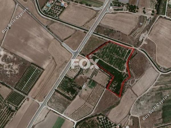 land for sale geroskipou paphos 1270302 image 11089033