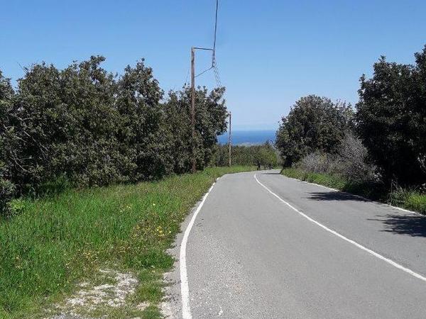 land for sale pano akourdalia paphos 686302 image 411506