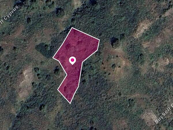 land for sale pigenia nicosia 1381302 image 2819691