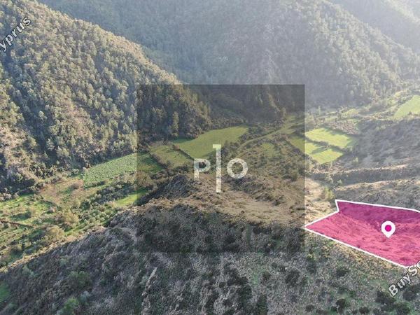 land for sale pigenia nicosia 8275302 image 15159044