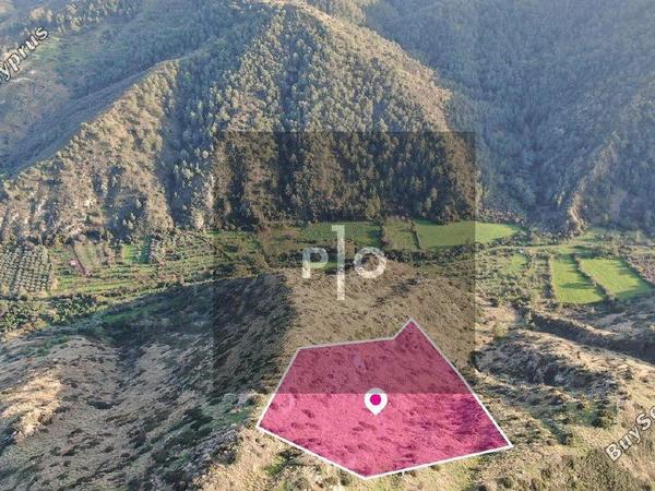 land for sale pigenia nicosia 8275302 image 15159045