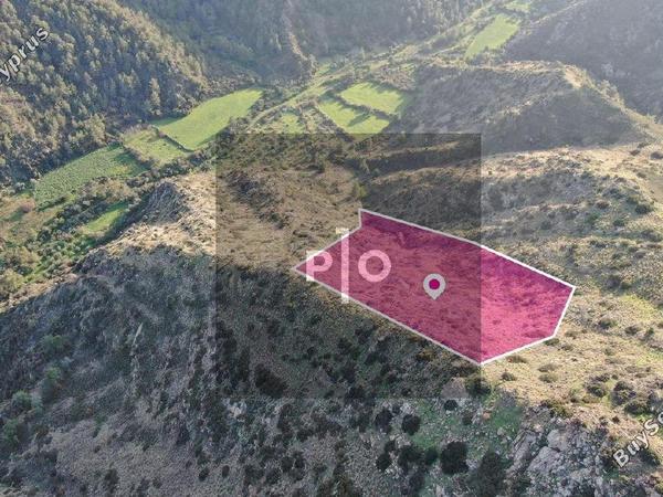 land for sale pigenia nicosia 8275302 image 15159046
