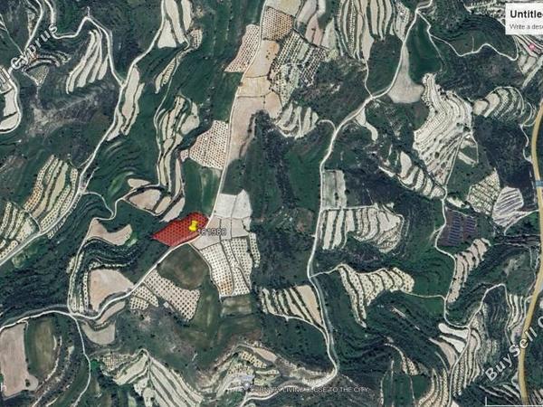 land for sale tsada paphos 1354302 image 5599912