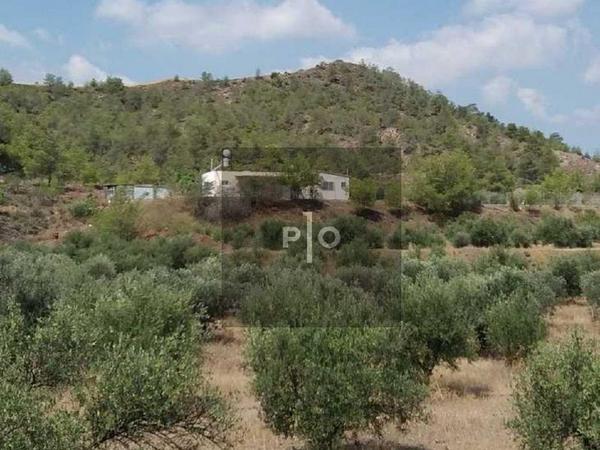 3 bedroom detached house for sale alampra nicosia 8083402 image 15140641