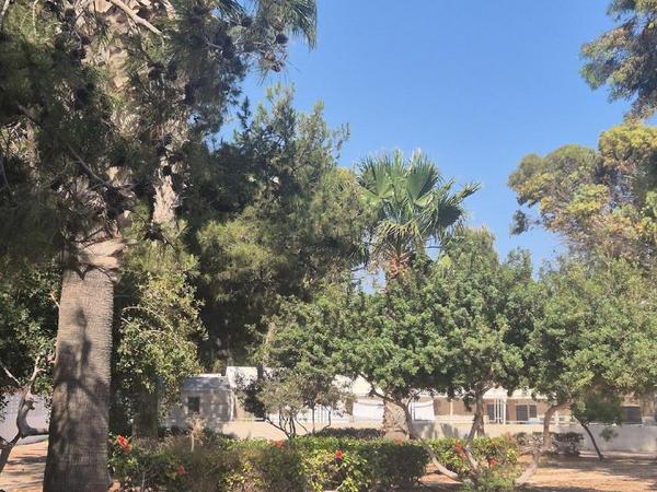 3 bedroom detached house for sale dekeleia larnaca 1822402 image 9812347