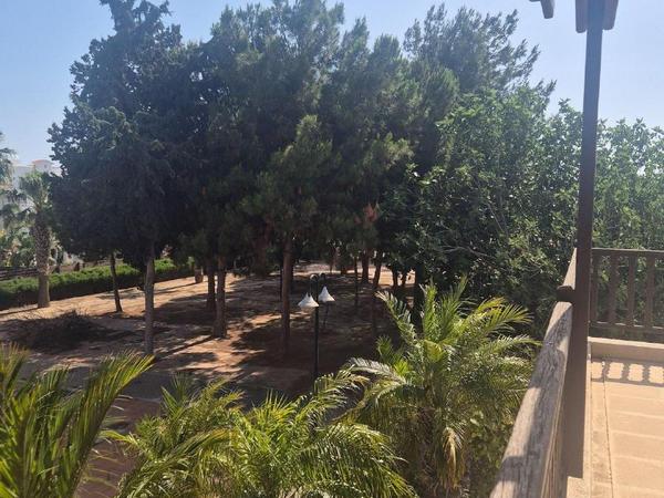 3 bedroom detached house for sale dekeleia larnaca 1822402 image 9812373