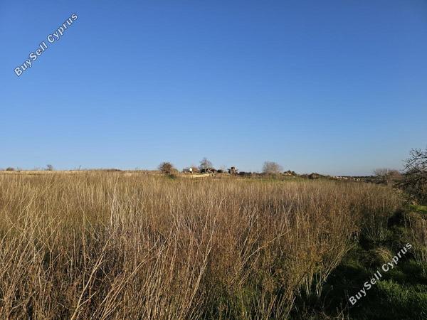 land for sale ineia paphos 8395402 image 16563386