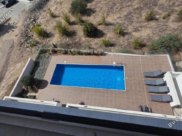 1 bedroom apartment for rent paphos municipality paphos 7779502 image 10398293