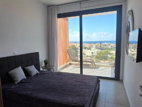 1 bedroom apartment for rent paphos municipality paphos 7779502 image 10398297