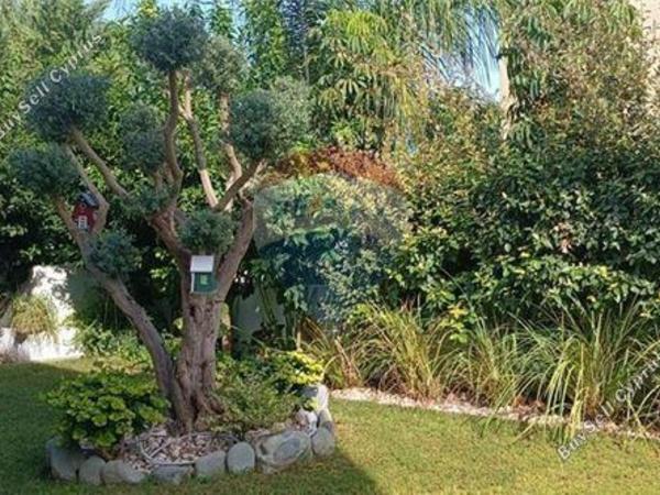 4 bedroom detached house for rent kallithea nicosia 7533502 image 14134116