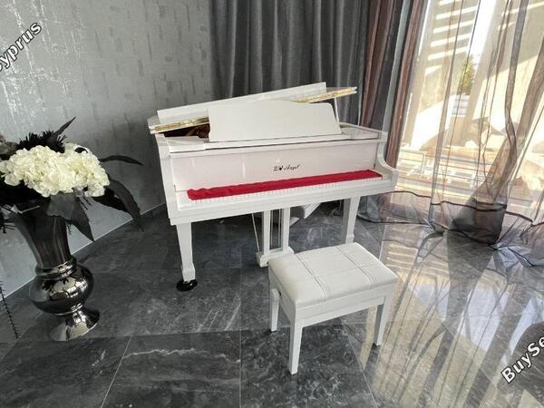 5 bedroom detached house for sale germasogeia limassol 932502 image 821554