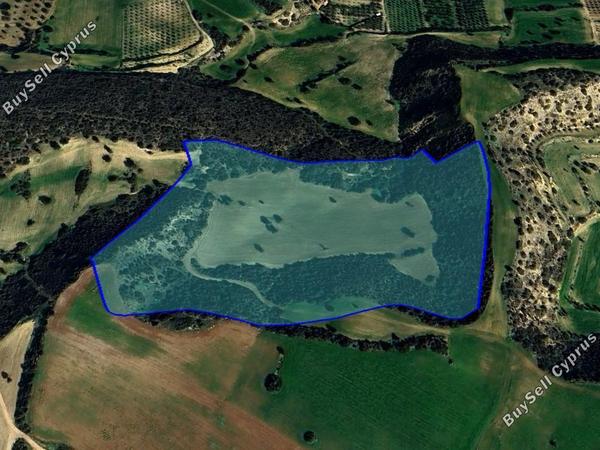 land for sale agios theodoros larnacas larnaca 1680502 image 4367771