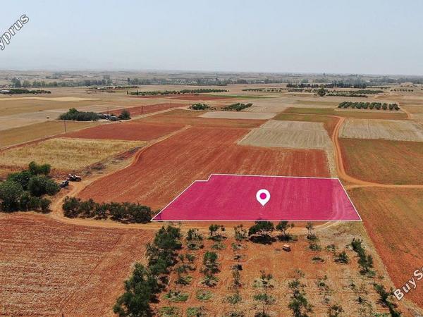 land for sale palaiometocho nicosia 8620502 image 15823560