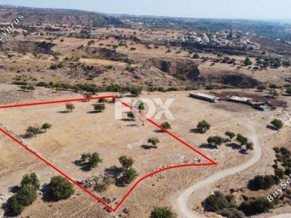 land for sale peyia paphos 1159502 image 5524976