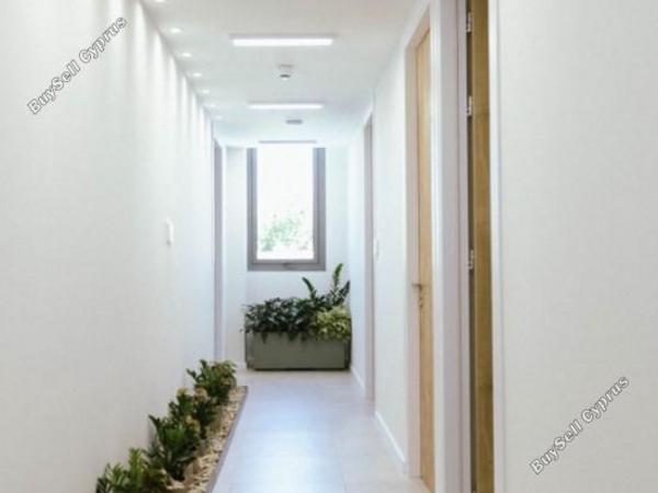 studio office for rent zakaki limassol 1679502 image 4359475