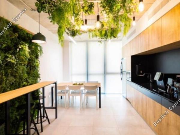 studio office for rent zakaki limassol 1679502 image 4359478